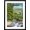 Black Frame, variant on Art.com Leconte Creek and Bear Family - Great Smoky Mountains National Park, TN Stretched Canvas Print Wall Art by Lantern Press, 16" x 24"
