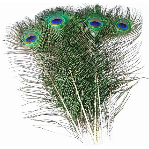 Piokio 30 pcs Peacock Feathers in Bulk 16-18inch(40-45 cm) Bulk for DIY Craft, Wedding, Halloween Decoration