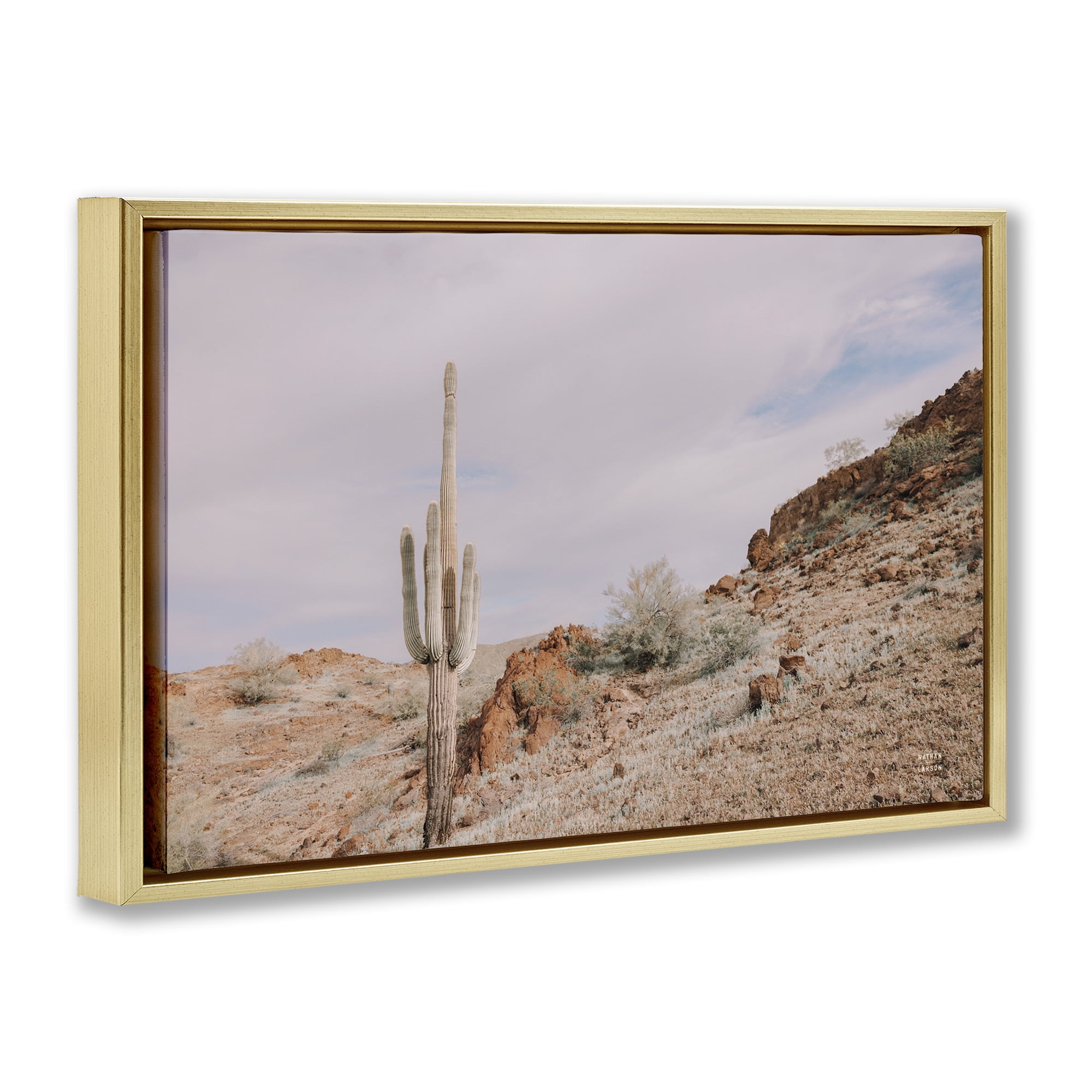 Stupell Industries The Climb Desertscape Landscape & Nature Photography Gold Floater Framed Canvas Art Print Wall Art, 25 x 17