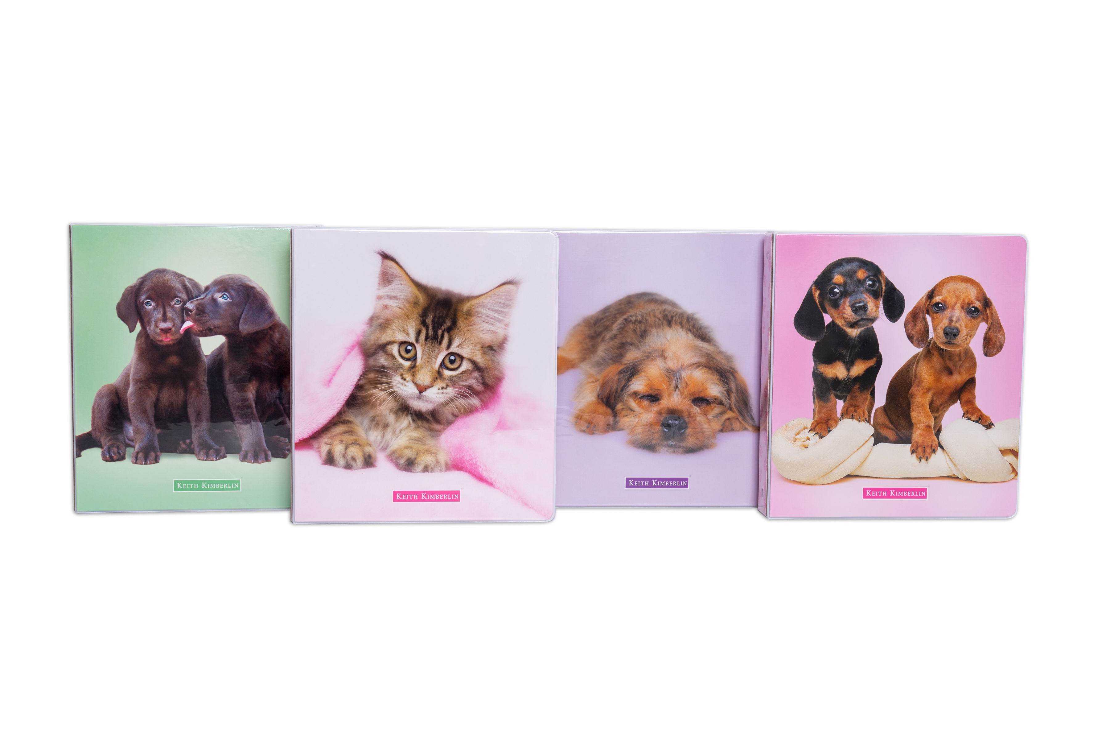 dog ring binder