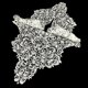thumbnail image 2 of 2x Cuello Escote Encaje Flores Apliques Ajuste Decoración de 5 cm para Mujer mayimx Apliques, 2 of 8
