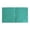 Green, variant on 3 Hole Pocket Folders (1 Pack), Plastic Pocket Folders for 3 Ring Binder, 3-Hole Punched Folder with Pockets, 3 Hole Punched with 2 Pockets, Hold Letter Size Paper(Green)