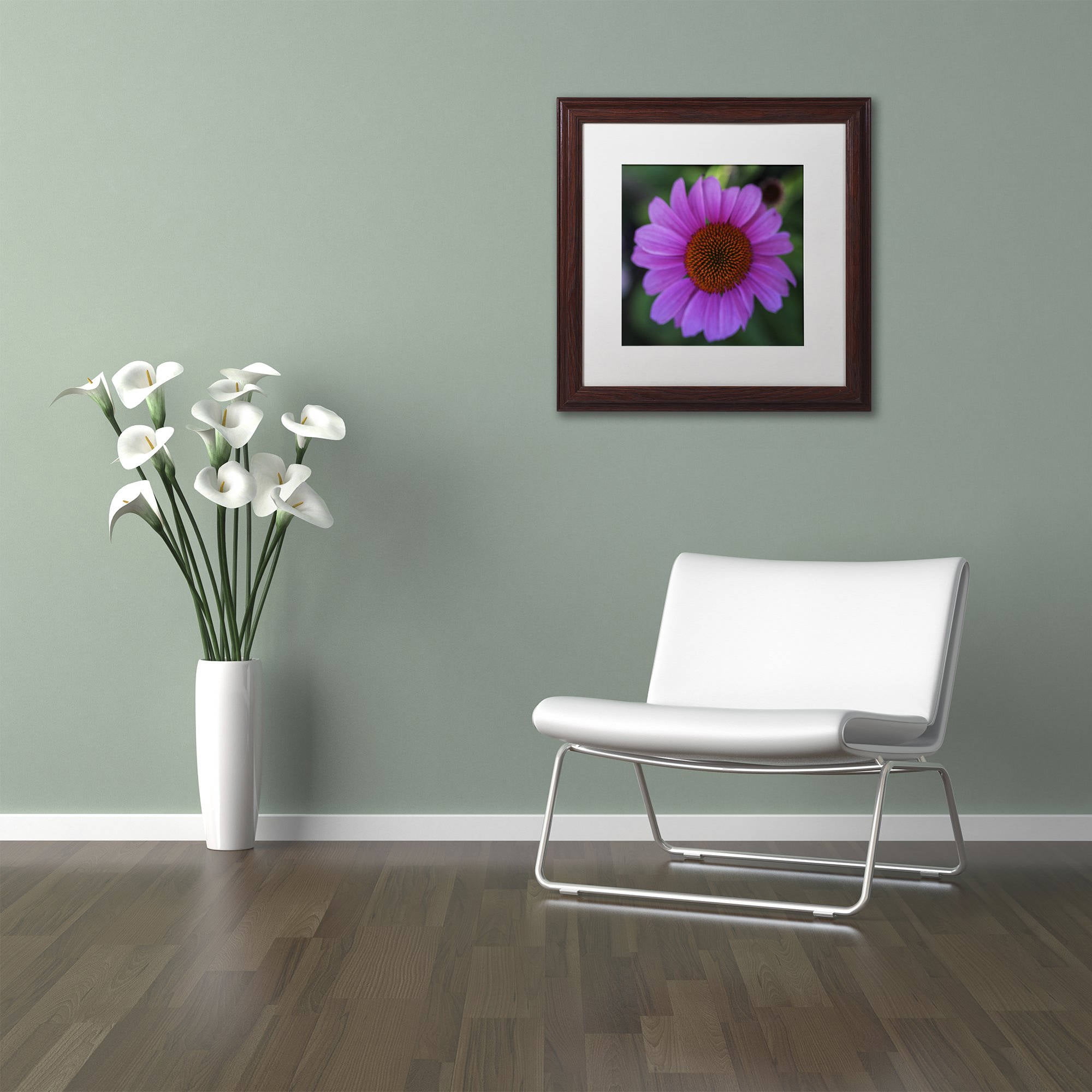 Trademark Fine Art "Purple Coneflower" Canvas Art by Kurt Shaffer, White Matte, Wood Frame