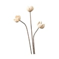 thumbnail image 3 of Ramo de flores secas para jarrón, arreglo floral con plantas secas, bricolaje decorativo para bodas, salas de estar, dormitorios, decoración del hogar Estilo E, 3 of 8