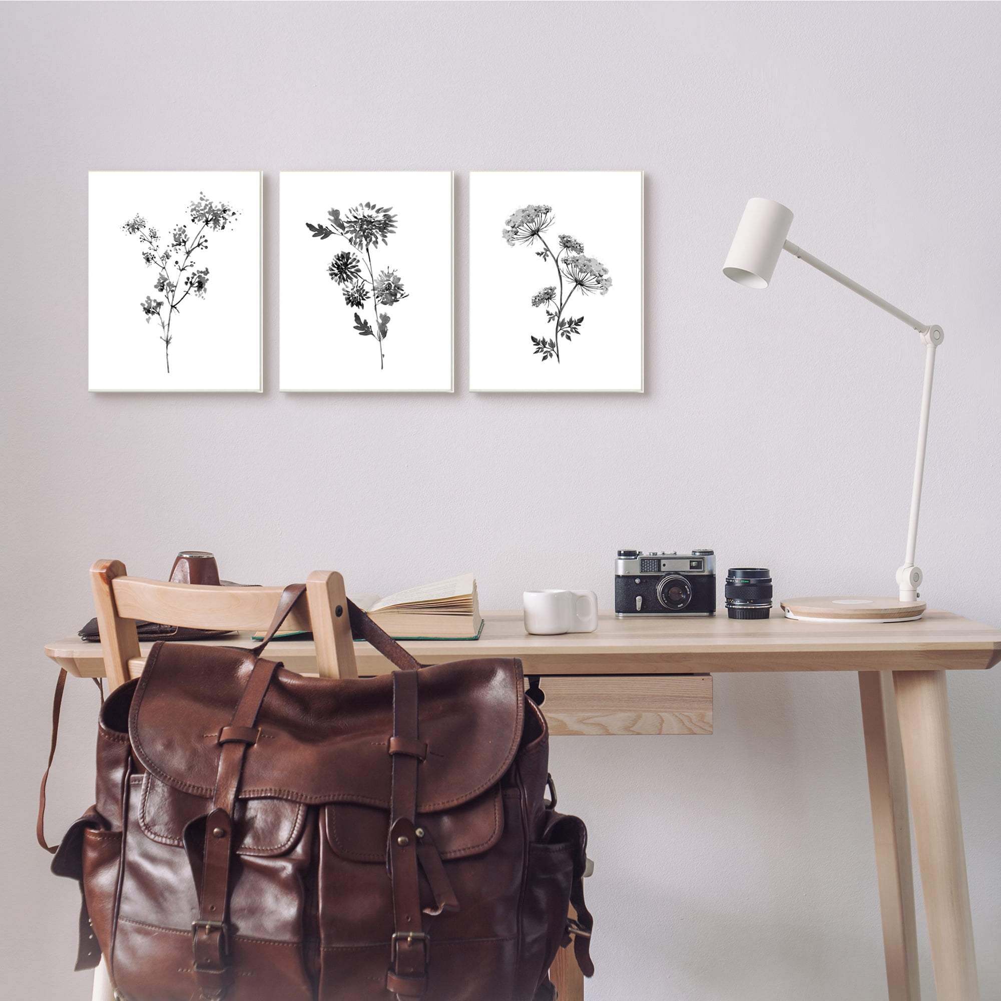 Stupell Indtries Minimal Cornflower and Wildflower Watercolor Black White Florals,10 x 15,Design by Conrad Knutsen
