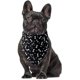 thumbnail image 2 of Bandanas para perros 4 piezas; Bandana De Perro De Algodón Suave, Para Uso Diario, Bandanas Para Perros Niño, Lavable, 2 of 4