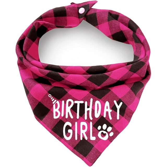 Dog Bandana(Birthday-Girl-Medium)