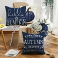 thumbnail image 4 of Blue Pumpkin Pillow Covers 16x16 Inch Set of 4 Hello Pumpkin Indoor Outdoor Decorative Throw Pillow Cover Farmhouse Autumn Pillow Case Thanksgiving Harvest Bedroom Sofa Cushion Couch Decor, 4 of 6