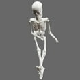 thumbnail image 4 of 1Pcs Aquarium Human Skeleton Resin Fish Tank Skull Skeleton Resin Ornament Reptile Tank Fish Tank Aquarium Decoration, 4 of 6