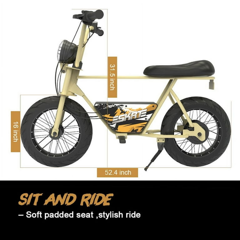 SKRT Electric Balance Bike Bicycle Scooter 250W 24V Brushless