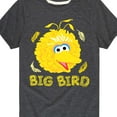 thumbnail image 3 of Sesame Street - Big Bird Face - Toddler and Youth Short Sleeve Graphic T-Shirt, 3 of 5