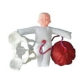 thumbnail image 3 of Modelo de anatomía pélvica femenina Modelo de Modelo de entrenamiento Herramienta educativa para la comunicación con pacientes de ginecología, 3 of 8