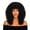 H002- Black, variant on Halloween Accessory, Halloween Wig, Halloween Decor Party, Curl Wig, Gift for Women, 16 Inch Black Tight Curly Full Fringe Synthetic Wig, Lightweight Breathable Fit to Complete