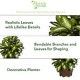 thumbnail image 3 of Nearly Natural 24in. Golden Dieffenbachia Artificial Plant, 3 of 8