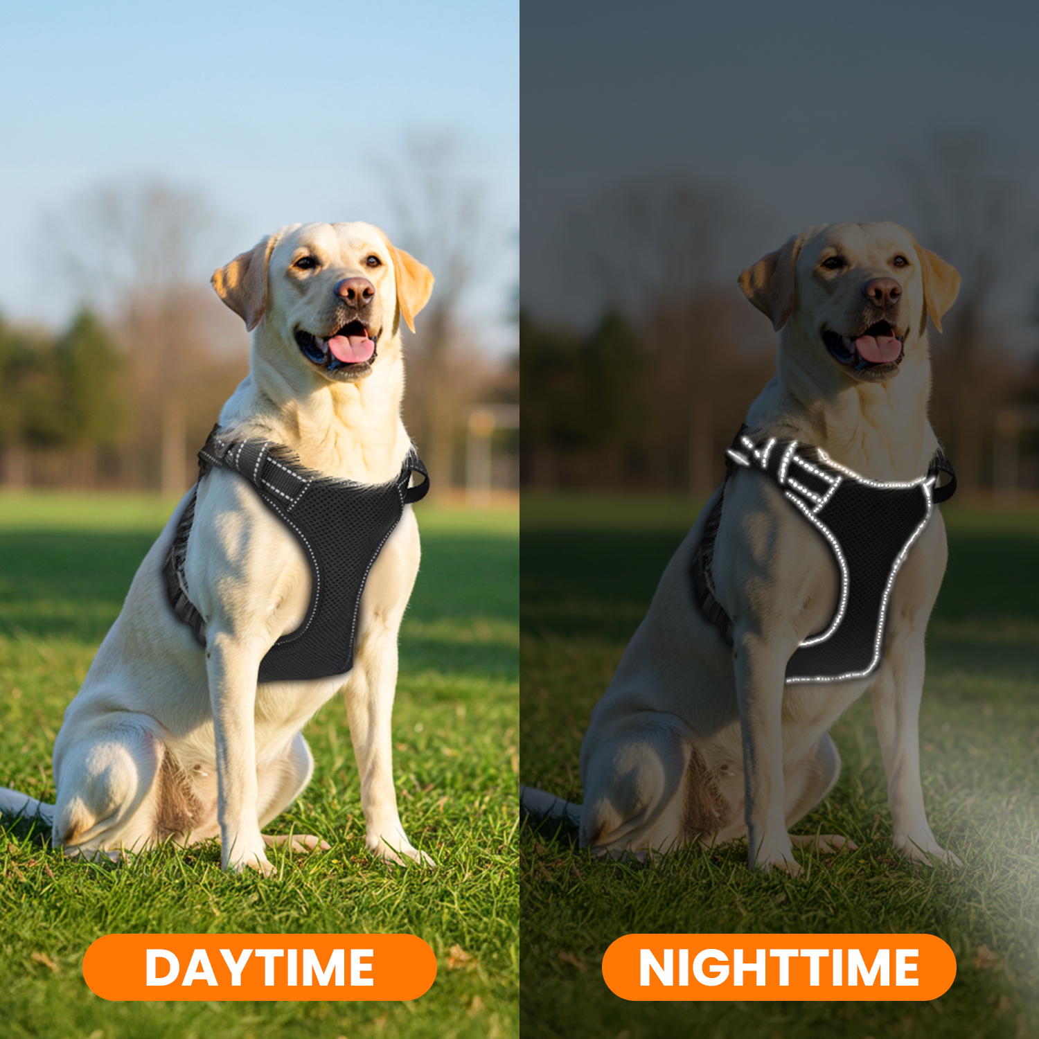Jewyow No Pull Dog Harness with Reflective Strips photo 6