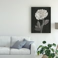 thumbnail image 3 of Trademark Fine Art 'Black and White Flowers IV' Canvas Art by Ethan Harper, 3 of 3