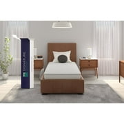 Signature Sleep Gold Triumph 8" Independently Encased Coil Mattress