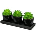 thumbnail image 3 of Northlight Mini Artificial Potted Succulents with Wood Planter - 5" - Set of 3, 3 of 6