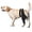 Left Leg-Black, variant on Supet Dog Rear Leg Sleeve to Stop Licking