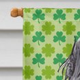 thumbnail image 3 of Carolines Treasures SC9569CHF Anglais Cocker Espagnol St Patricks Irlandais Drapeau Toile Maison Taille, 3 of 4