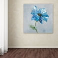thumbnail image 3 of Trademark Fine Art 'Floral Bloom I v2' Canvas Art by Danhui Nai, 3 of 3