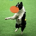 thumbnail image 3 of Disco volador TPR para mascotas 17,8 CM Disco interactivo para mascotas Juguete para perros Juguete Abody Amarillo, 3 of 7