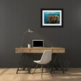 thumbnail image 3 of Ben Tov, Ilan 14x12 Black Ornate Wood Framed with Double Matting Museum Art Print Titled - Reefscape, 3 of 4