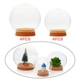 thumbnail image 2 of Elodie Glass Mini Transparent Terrarium Bottle Decoration Desktop Display, 2 of 5