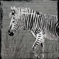 thumbnail image 2 of OnRei 15x15 Gold Ornate Wood Framed with Double Matting Museum Art Print Titled - Zebra Walk, 2 of 4
