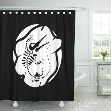 KSADK Ammonite Paleontology of Fossils Ammonites Ancient Animal Archeology Dinosaur Shower Curtain Bath Curtain 66x72 inch