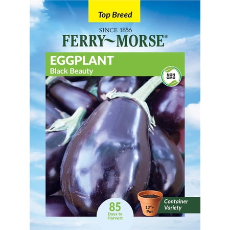 Ferry-Morse 175MG Eggplant Black Beauty Annual Vegetable Seeds, Full Sun