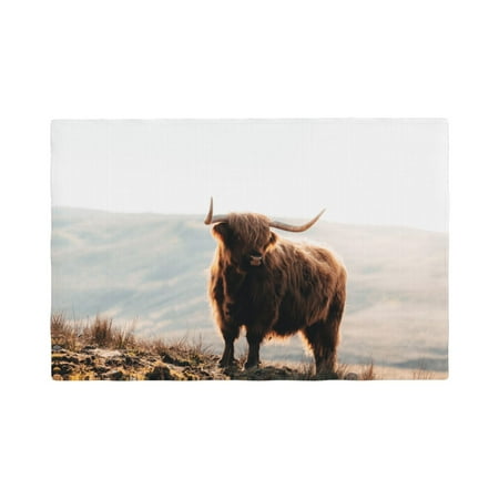 

Placemats Set of 4 / 6 Yak (3) Placemats for Dining Table Indoor/Outdoors Heat Resistant Washable Placemats 18 x 12