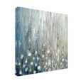 thumbnail image 2 of Trademark Fine Art 'January Branches Flowers' Canvas Art by Silvia Vassileva, 2 of 3