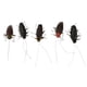 thumbnail image 2 of 5 Piezas Juguetes de Falsos Simulados Juguete de Suministros de Fiesta de Halloween Modelos Educativos Imán de Nevera Cucaracha Baoblaze Decoración realista de insectos, 2 of 7