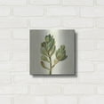thumbnail image 3 of Luxe Metal Art 'Front Yard Succulent II' by Silvia Vassileva, Metal Wall Art, 12" x 12", 3 of 9