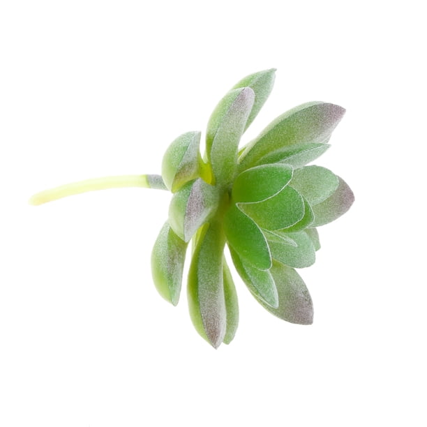 Planta De Flor De Loto De Piedra Suculenta Artificial Decoración De Mesa De Jardín Para El Hogar Verde