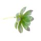 thumbnail image 1 of Planta De Flor De Loto De Piedra Suculenta Artificial Decoración De Mesa De Jardín Para El Hogar Verde, 1 of 5