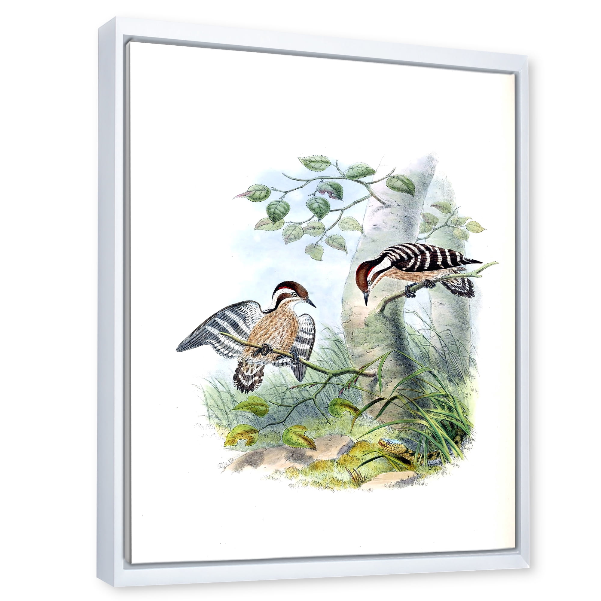 Designart 'Ancient Birds In The Wild I' Traditional Framed Canvas Wall Art Print
