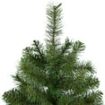 thumbnail image 4 of Northlight 4.5' x 35" Medium Mixed Pine Artificial Christmas Tree - Unlit, 4 of 6