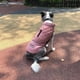 thumbnail image 3 of Abrigo para perros, chaqueta impermeable y cálida, abrigos de invierno para perros, chaleco para cachorros para clima frío, ropa para exteriores a prueba de viento, chaquetas de nieve para, 3 of 6