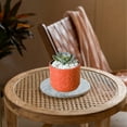 thumbnail image 5 of Qocolhg Orchid Pot with Holes Ceramic Plant Pots Indoor Outdoor Flower Pots for Repotting with Drainage and Saucer 4 Inch Breathable Slotted Orchids Planter (Orange), 5 of 6