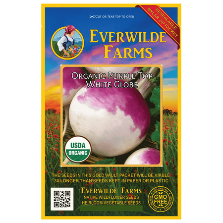 Everwilde Farms - 250 Organic Purple Top White Globe Turnip Seeds - Gold Vault Jumbo Bulk Seed (Best Way To Plant Turnip Seeds)