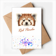 Chestnut Red Panda Animal Welcome Back Greeting Cards Envelopes Blank