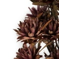thumbnail image 3 of Vickerman 8-20" Purple Orchid Plumosum, Female, 8 flower heads per bundle, Preserved, 3 of 5