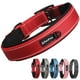 thumbnail image 1 of Collar de perro PetiFine, resistente y ajustable para perros de talla XL, 1 of 7