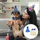 thumbnail image 5 of 1 juego de pajaritas decorativas para mascotas, adorables pajaritas, sombreros de cumpleaños para perros., 5 of 6