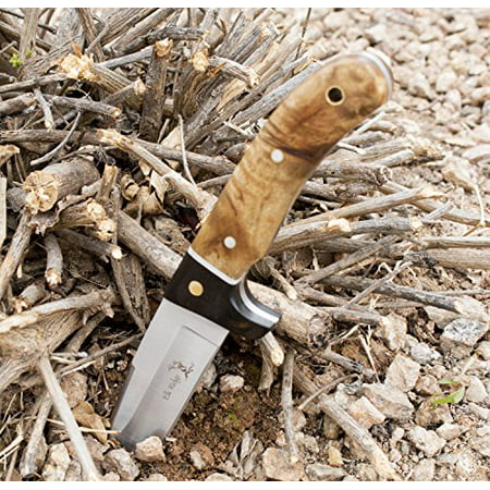 Best Fixed Blade Hunting Knife with Sheath - Perfect for Survival, Camping, & Everyday (Best All Purpose Knife Survival)