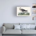 thumbnail image 3 of John James Audubon 'Jager' Canvas Art, 3 of 3