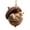 4#Yellow*3PC,3.1 Inch, variant on Forest Animal Acorn Ornaments,2D Flat Acrylic Animal Hanging Ornament with Berry,Whimsical Woodland Creature Acorn Hanging,Cozy Forest Creature Holiday Acorn Charm,Cute Animal Pendant Hanging Decor