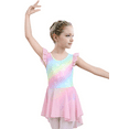 thumbnail image 3 of Yuyuekeji Girls Dance Ballet Leotards,Kids Ruffle Sleeve Tutu Skirted Dress 4-11 T, 3 of 6